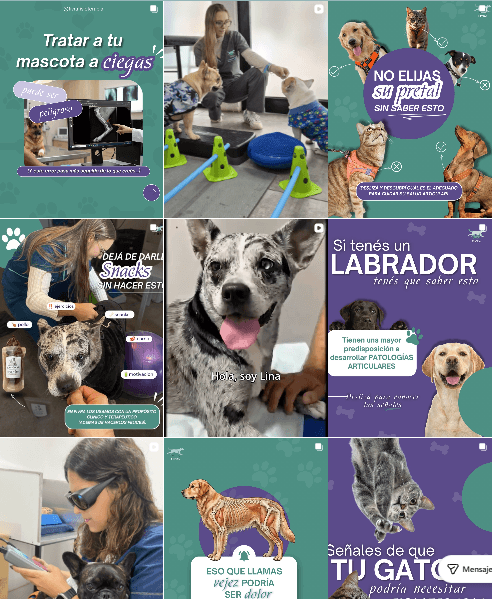 Captura del Instagram de FIVRA con consejos, pacientes y sesiones de fisioterapia