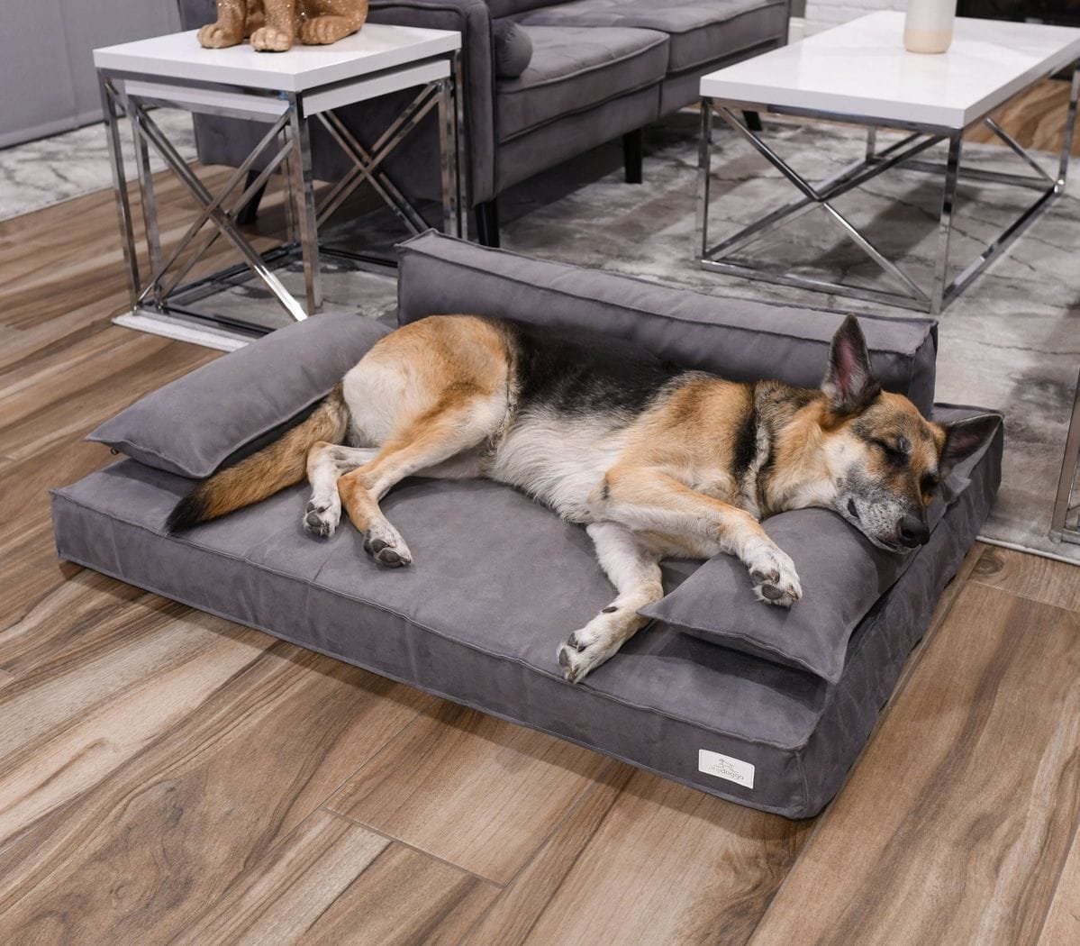 Imagen de referencia de un perro descansando en una cama acolchada