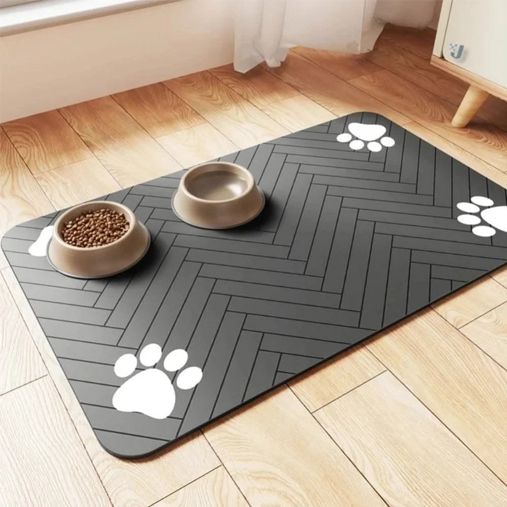 Imagen de referencia de comederos sobre una alfombra